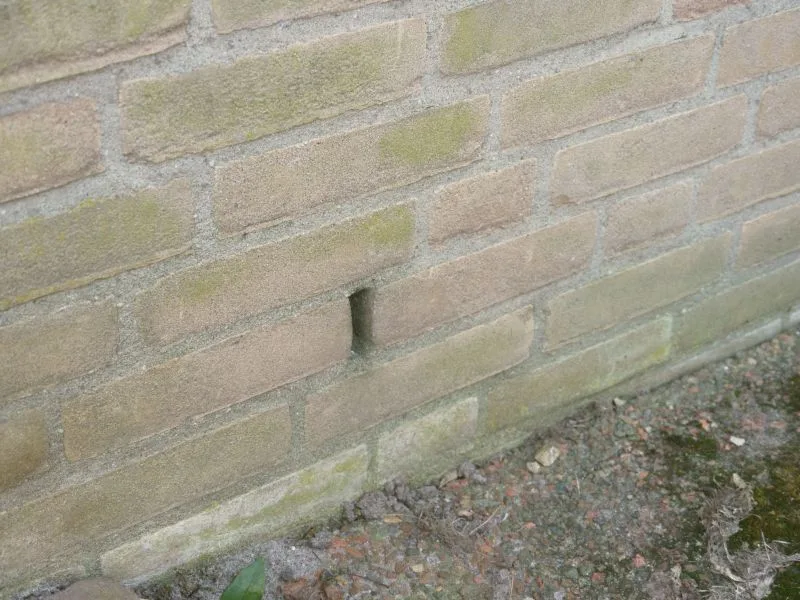 An open perpend weep hole: a vertical joint left without mortar near the base of a weathered buff brick wall